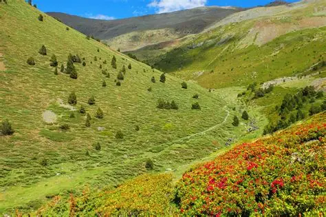 Randonnée du Puigmal